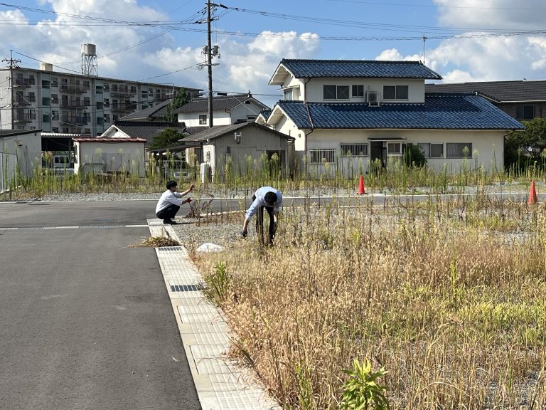 草抜きの季節です🌞