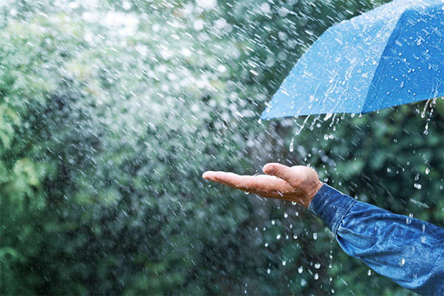 雷＆ゲリラ豪雨